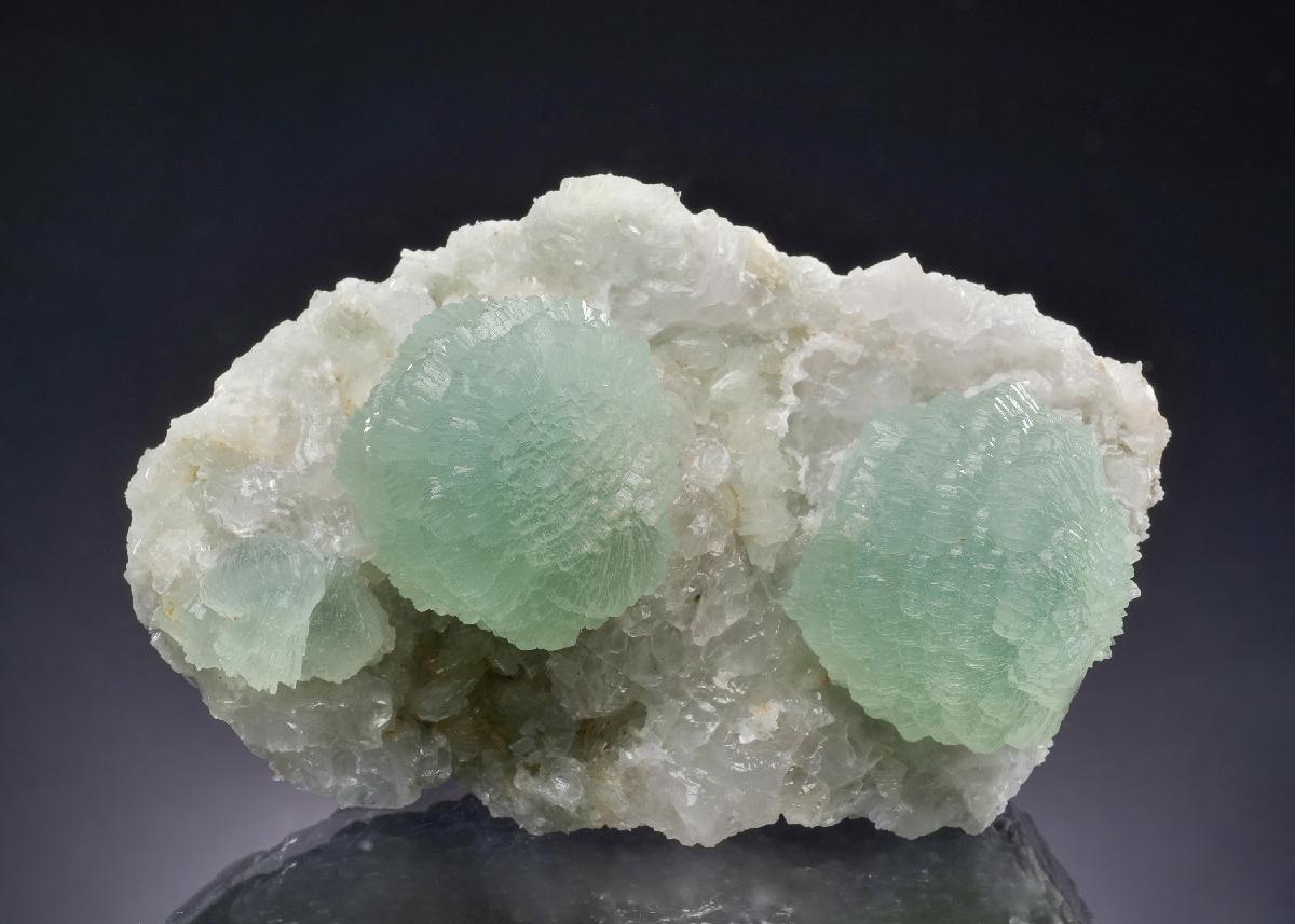 CC53835 specimen image