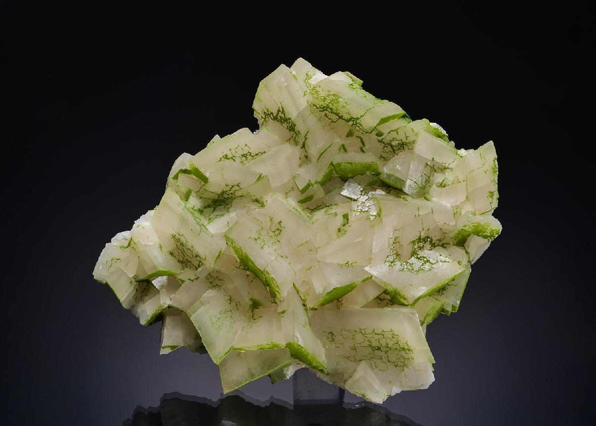 CC53840 specimen image