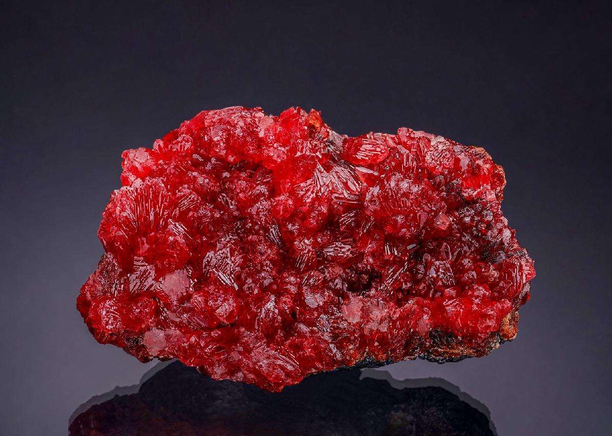 CC53843 specimen image