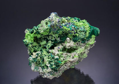 CC53851 specimen image