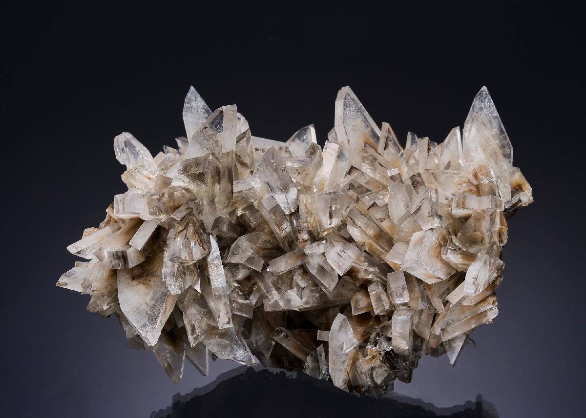 CC53861 specimen image
