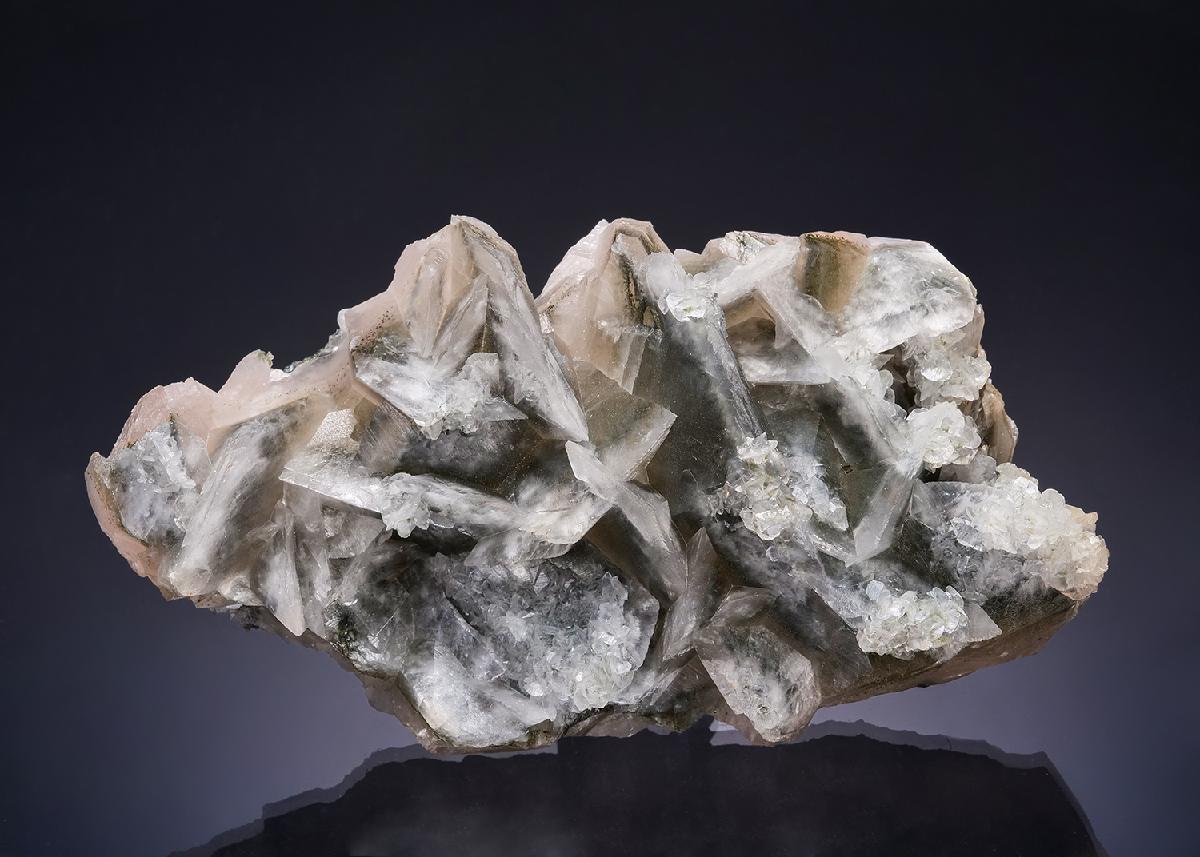 CC53868 specimen image