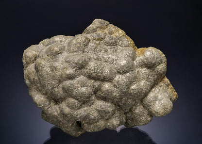 CC53880 specimen image