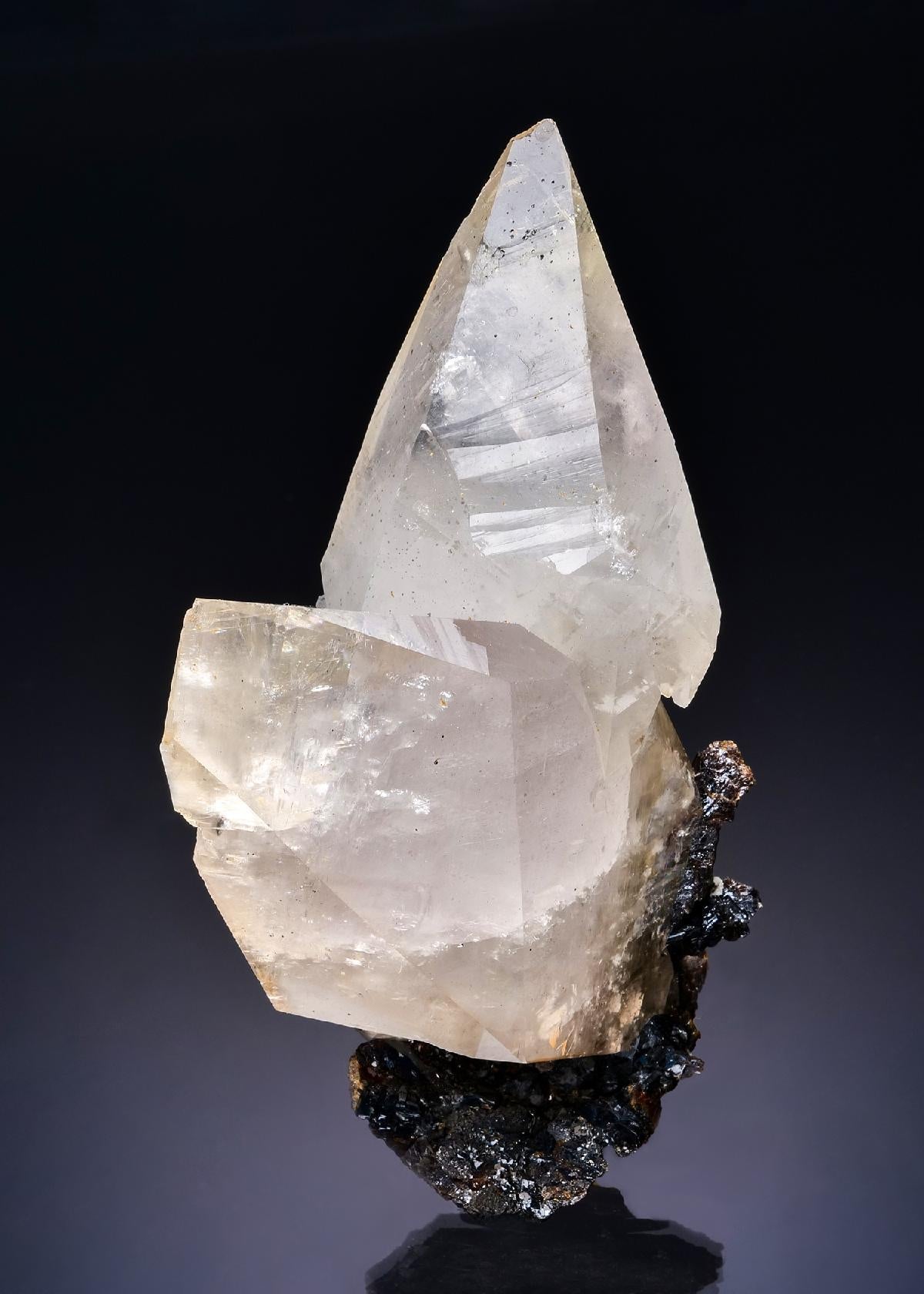 CC53884 specimen image