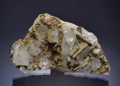 CC53896 specimen image
