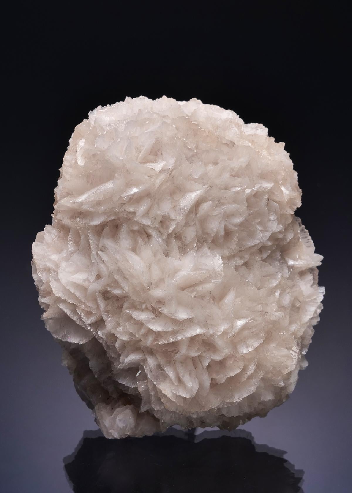 CC53905 specimen image