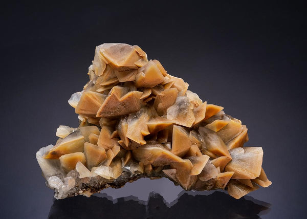 CC53907 specimen image