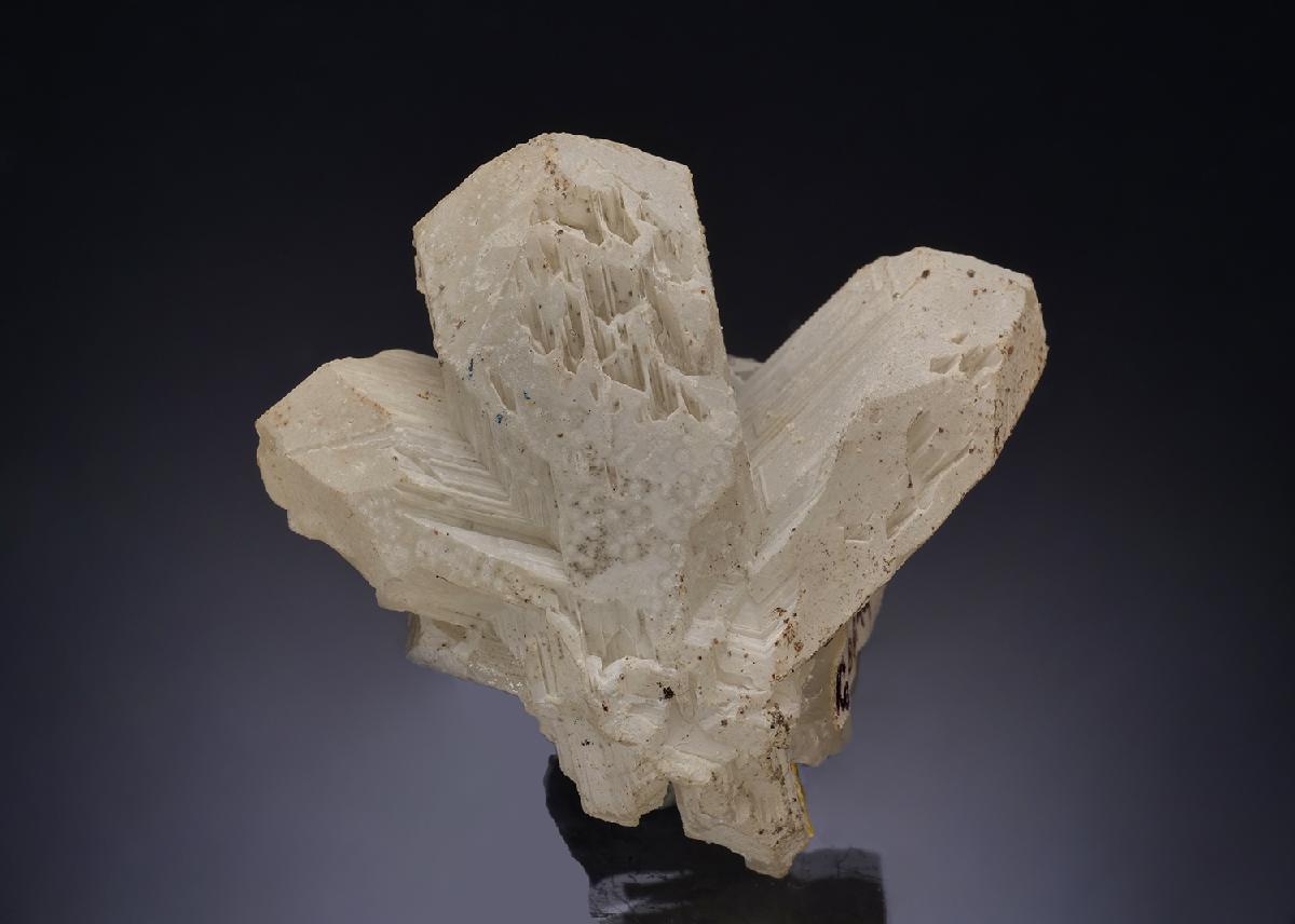 CC53938 specimen image