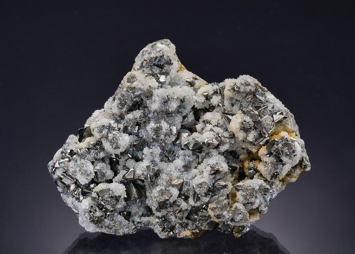 CC53972 specimen image