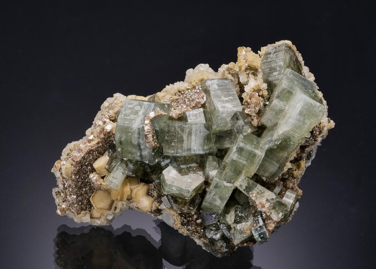 CC54006 specimen image