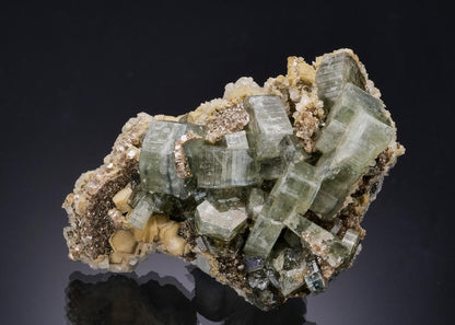 CC54006 specimen image