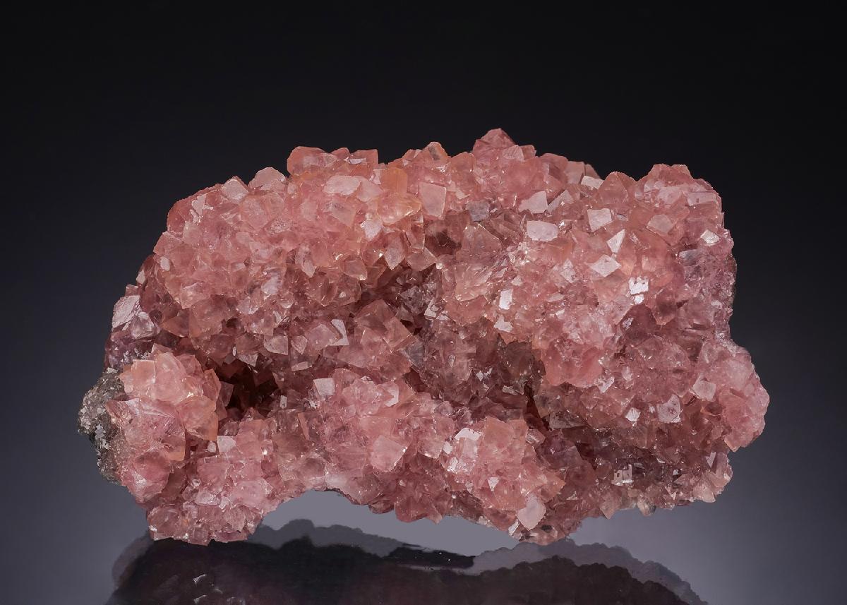 CC54020 specimen image
