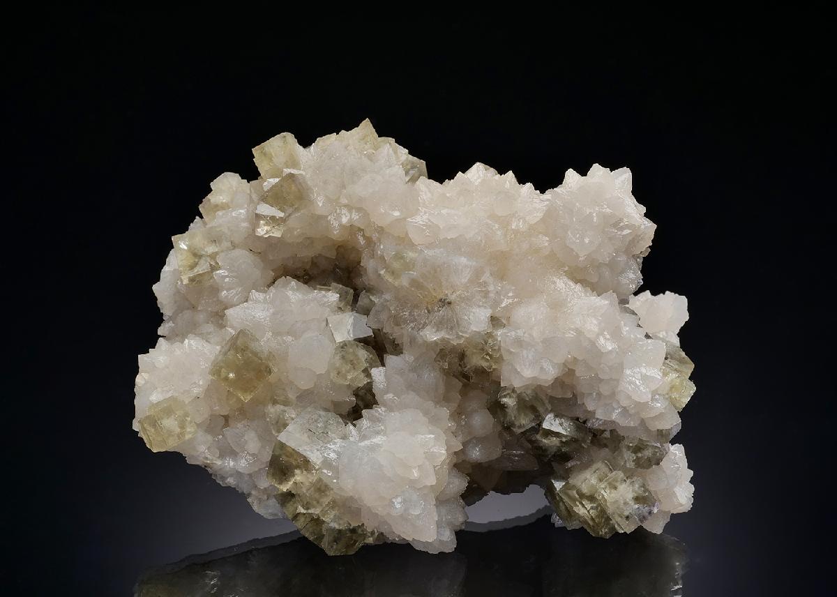 CC5404 specimen image
