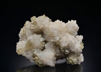CC5404 specimen image