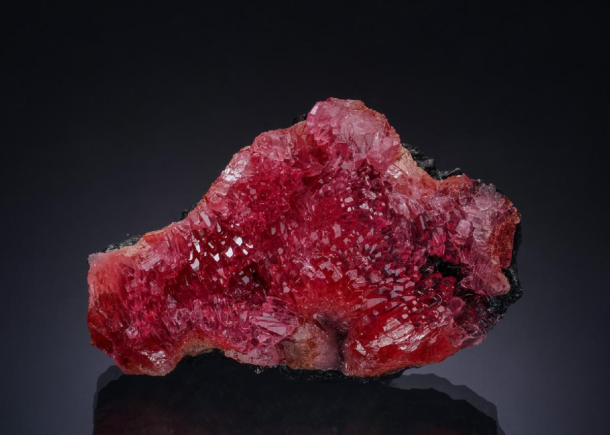 CC54052 specimen image