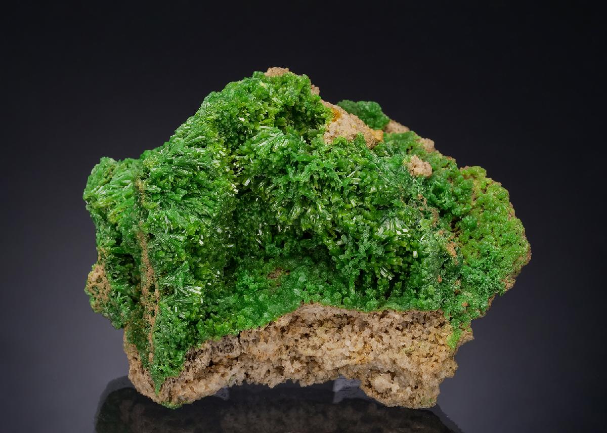 CC54060 specimen image