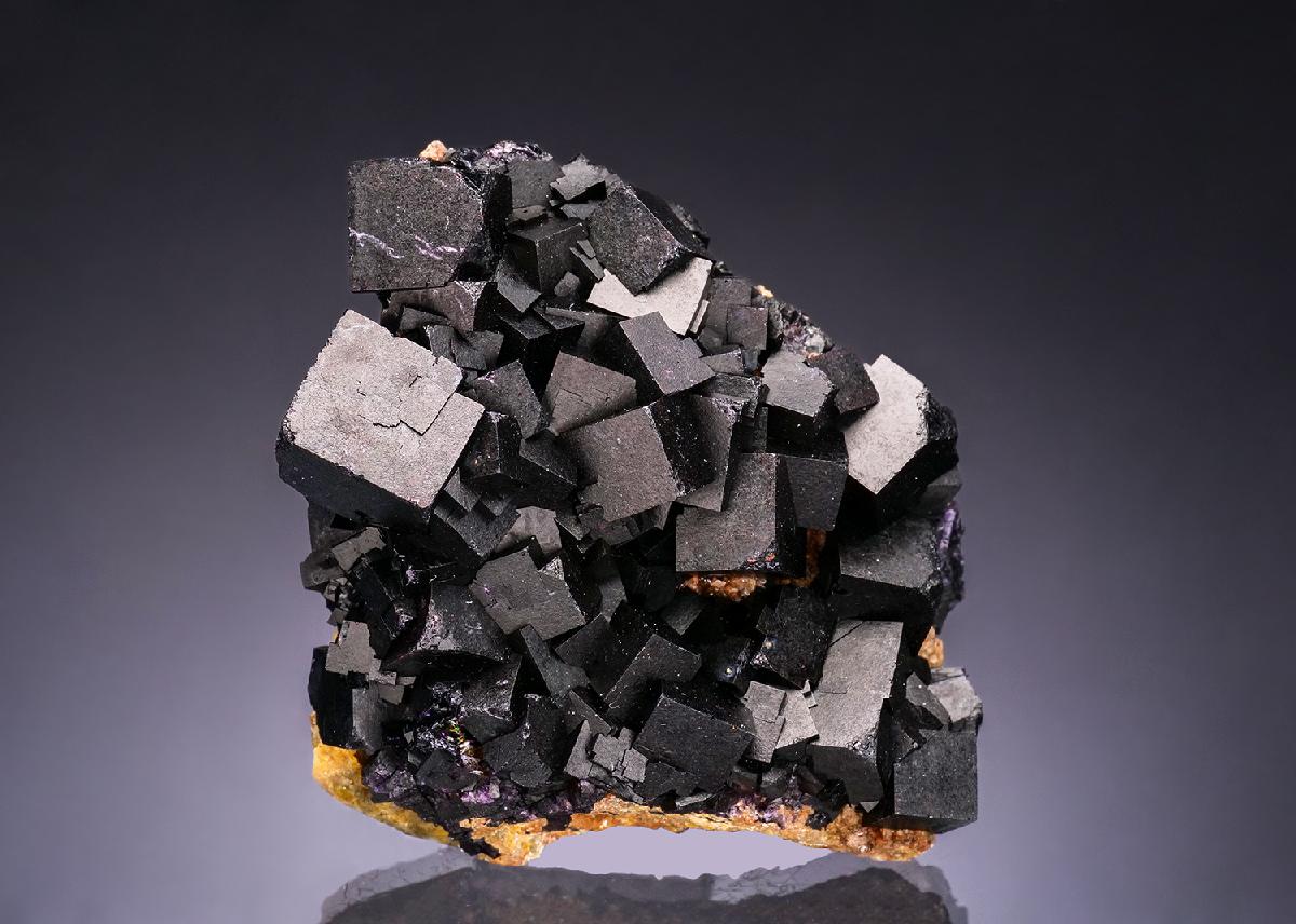 CC54062 specimen image