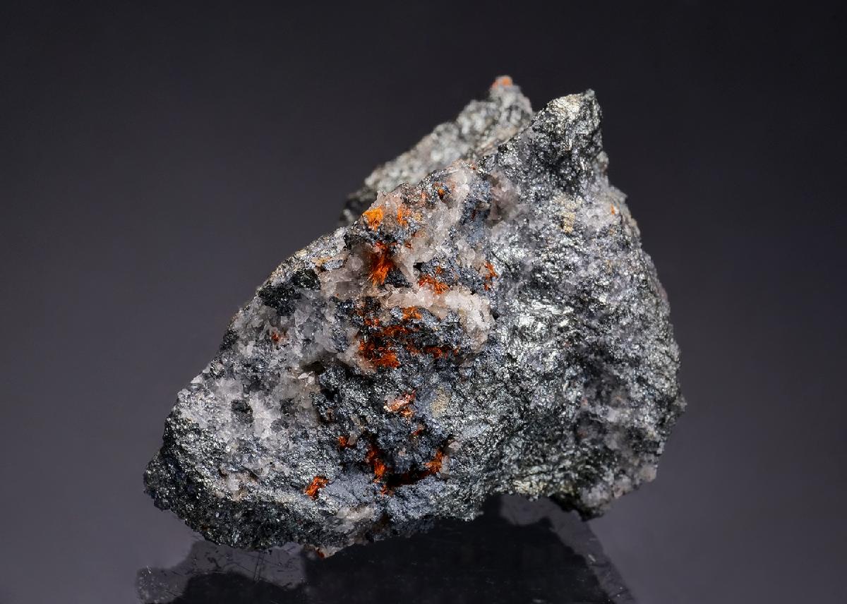 CC54072 specimen image