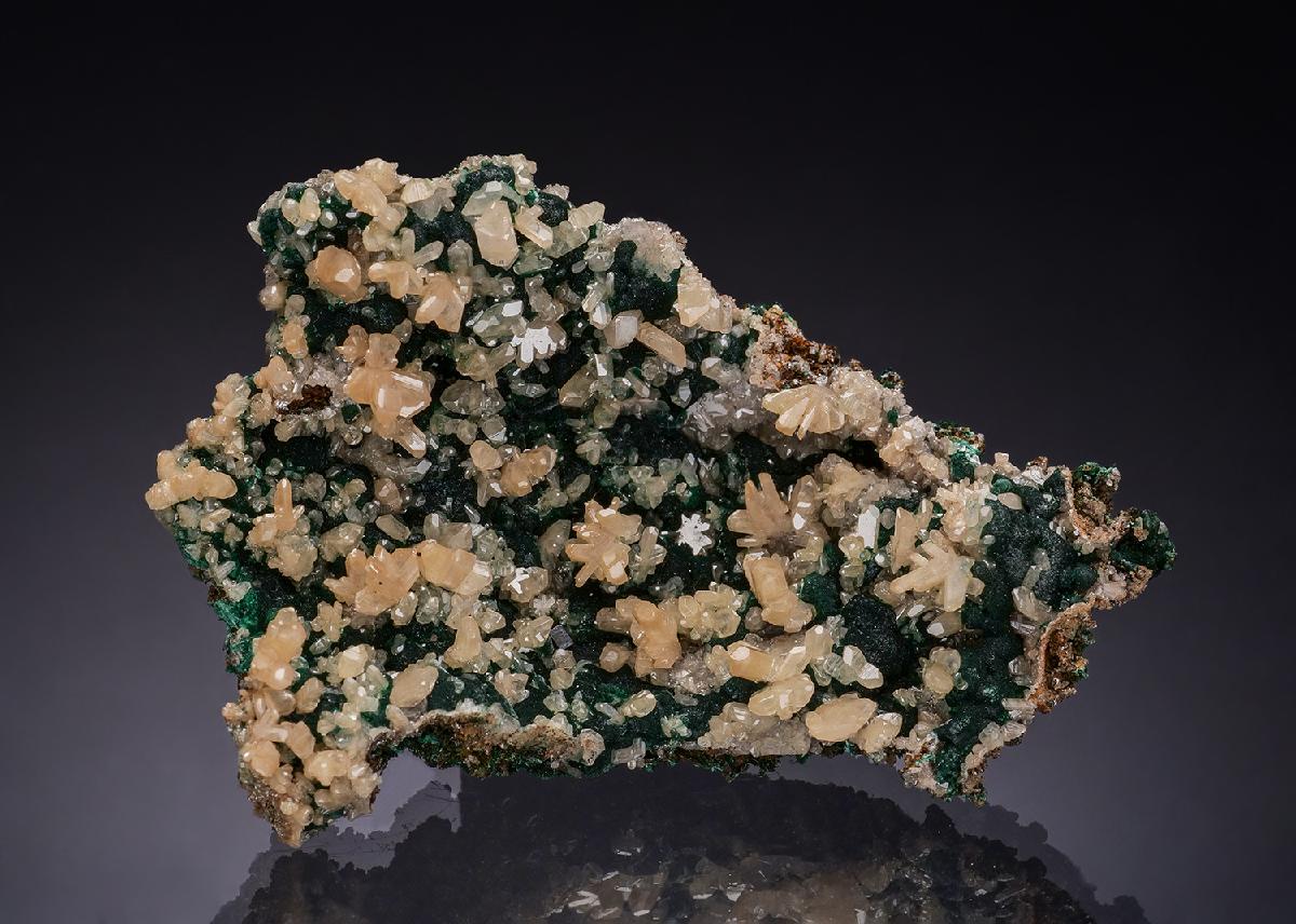 CC54074 specimen image