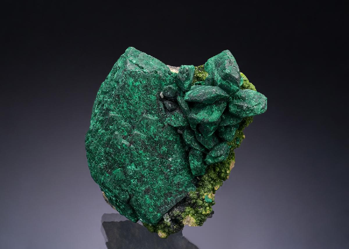 CC54090 specimen image