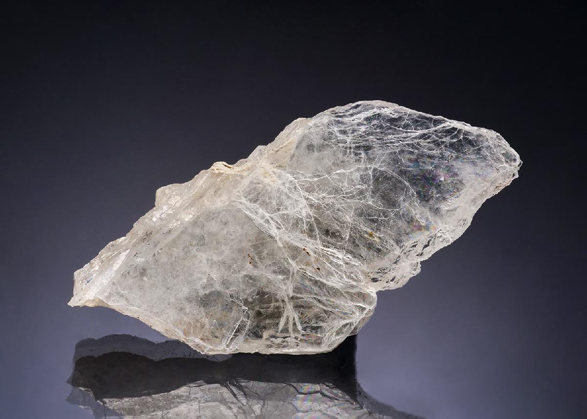 CC54098 specimen image