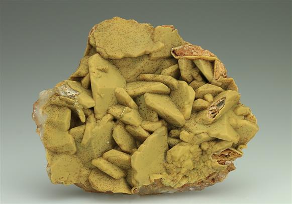 CC5410 specimen image
