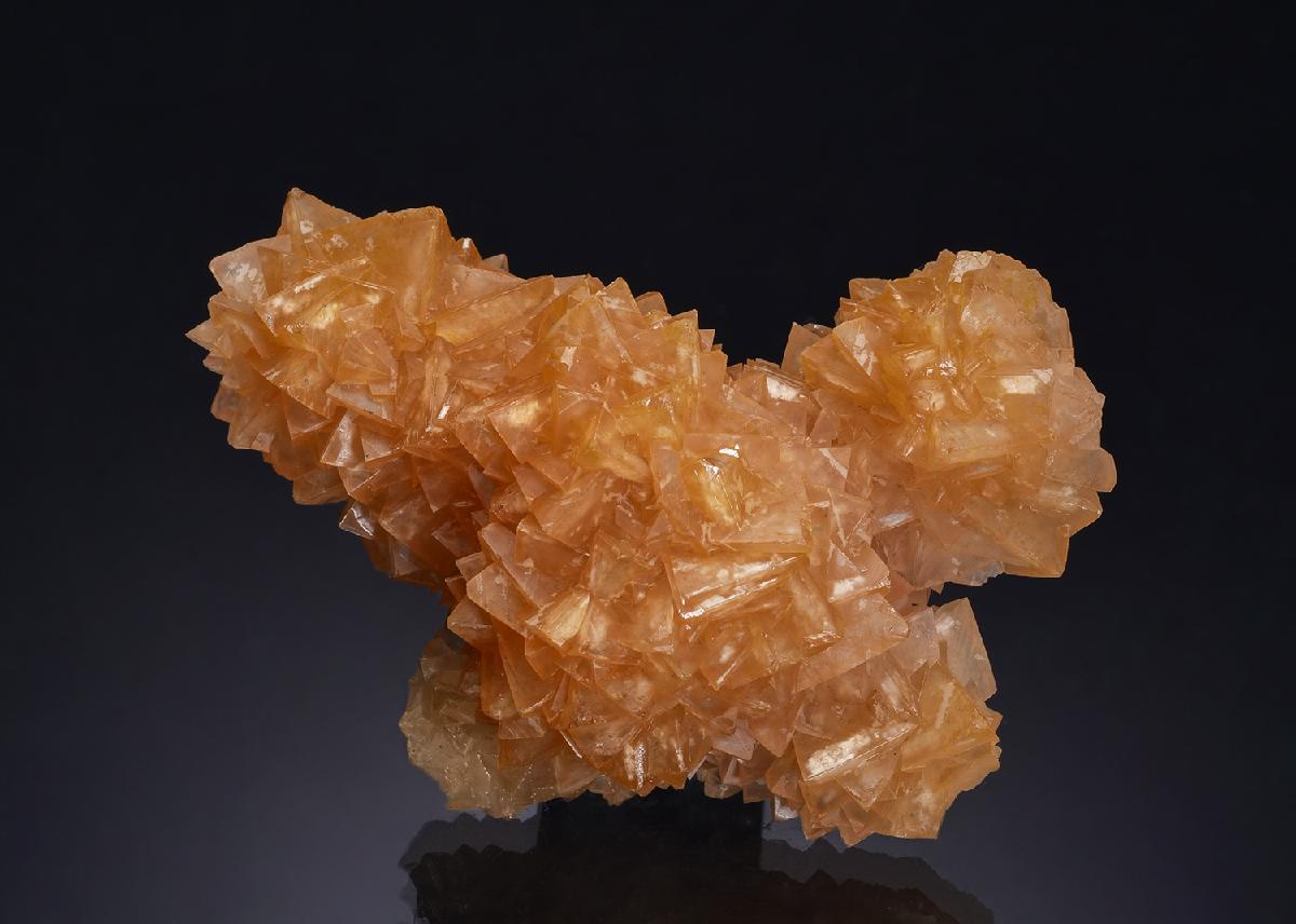 CC54108 specimen image