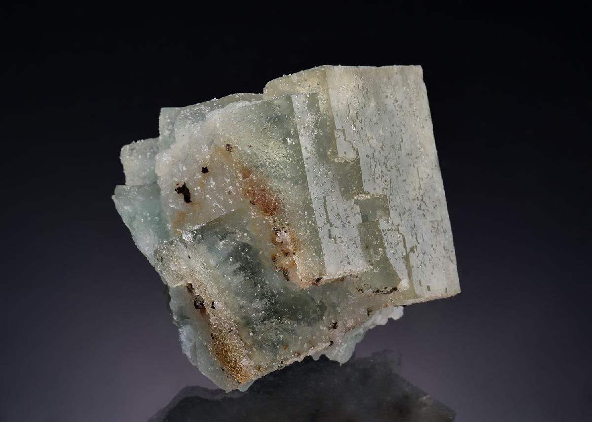CC54114 specimen image