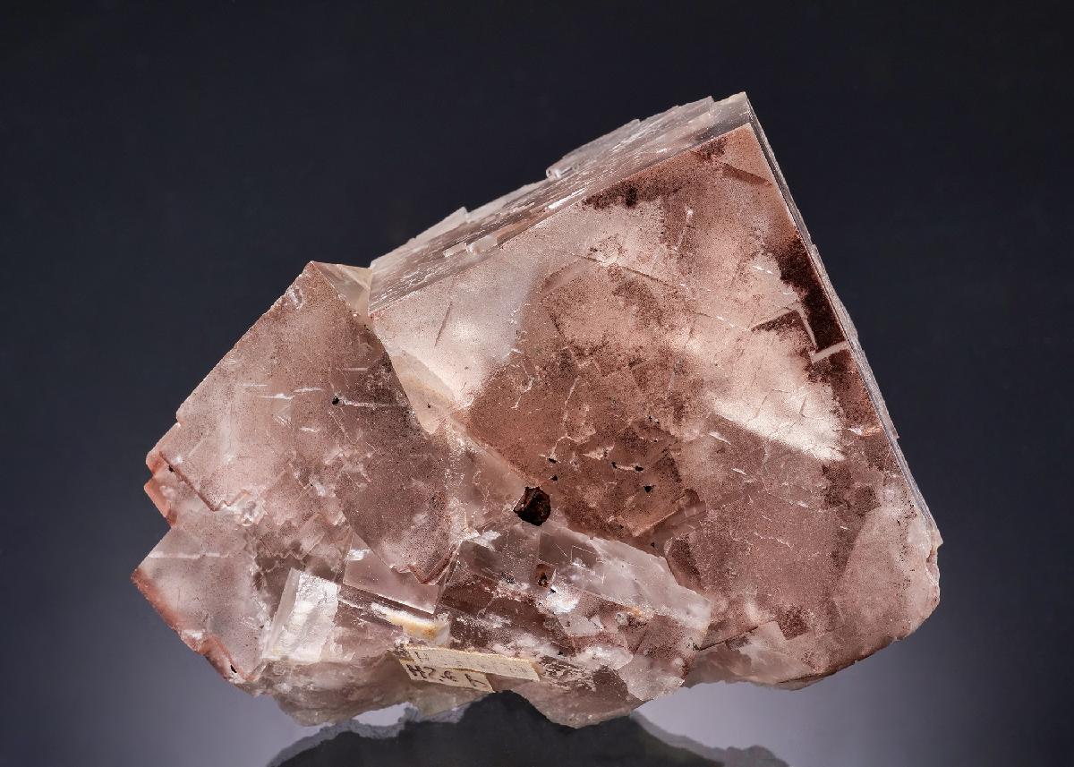 CC54136 specimen image