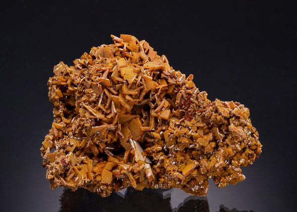 CC54140 specimen image
