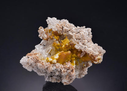 CC54164 specimen image