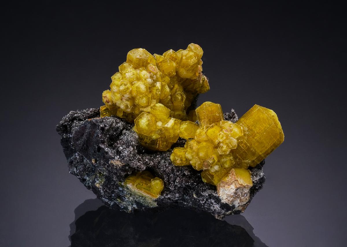 CC54188 specimen image
