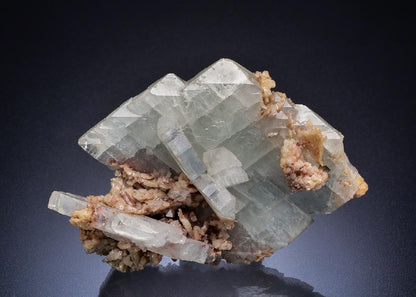 CC5419 specimen image
