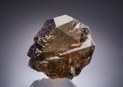 CC54192 specimen image