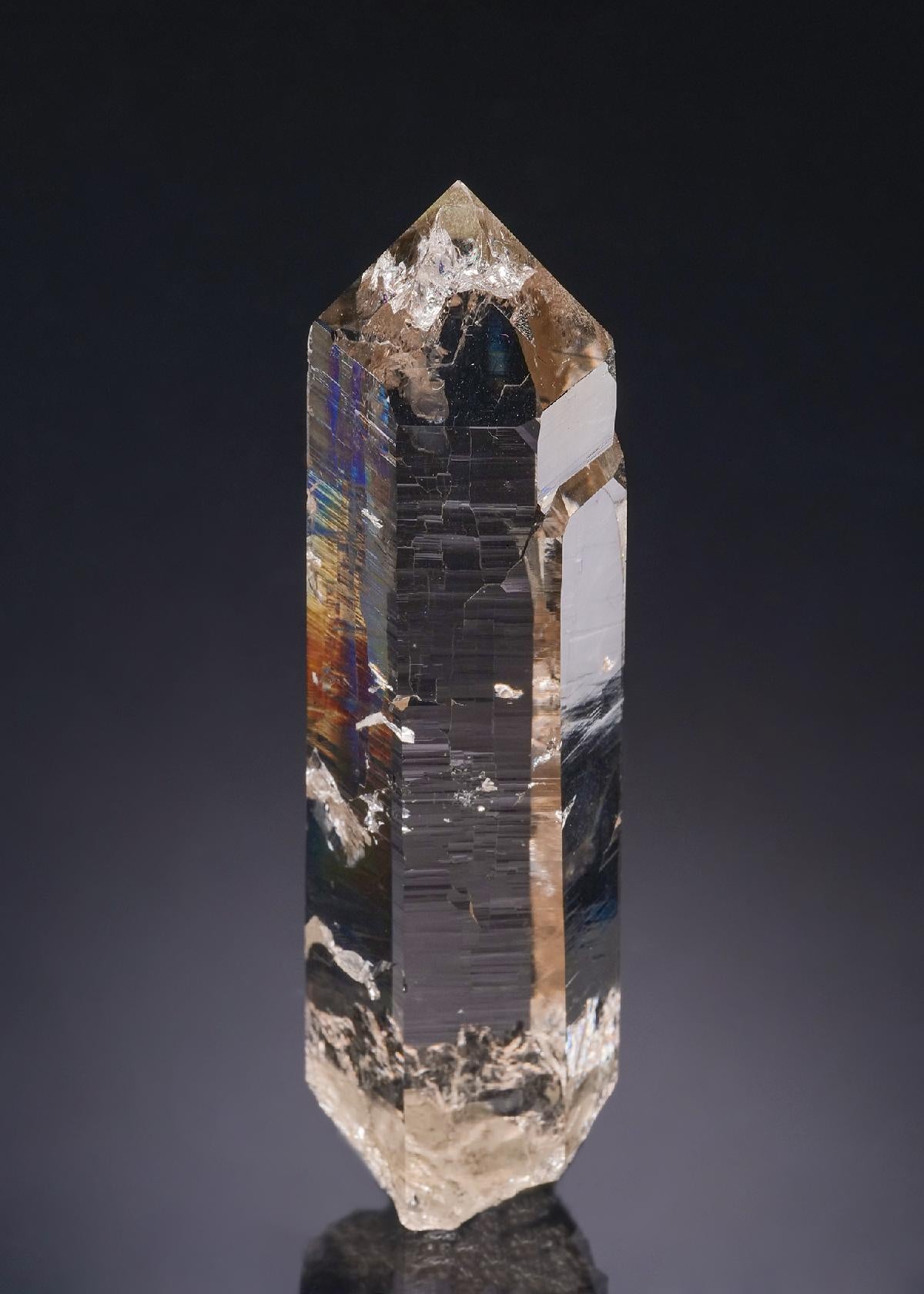 CC54198 specimen image