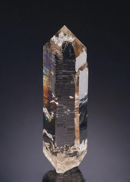 CC54198 specimen image