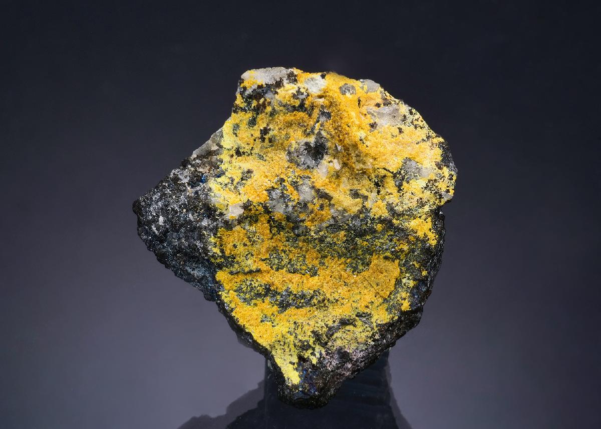 CC54218 specimen image