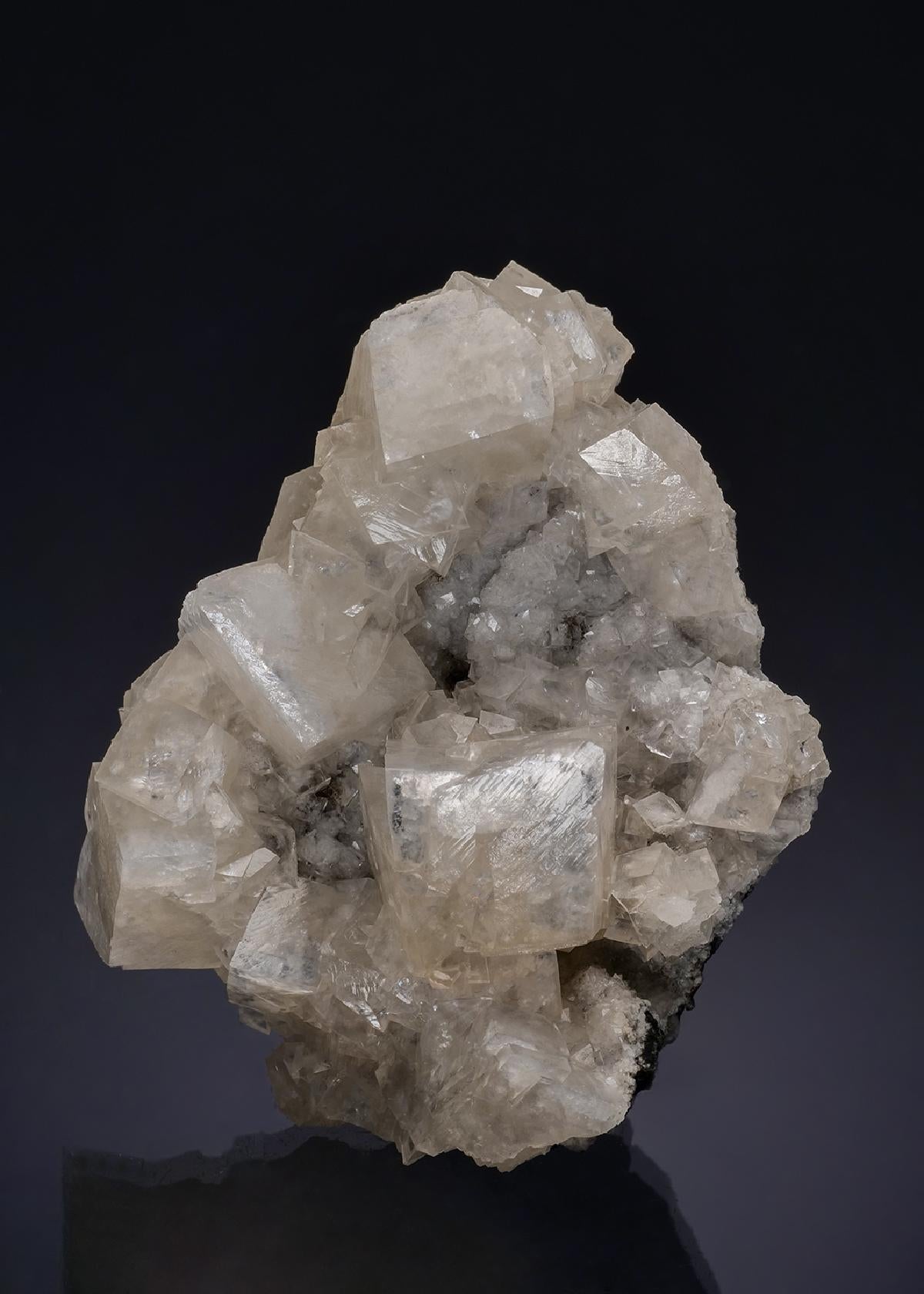 CC54224 specimen image