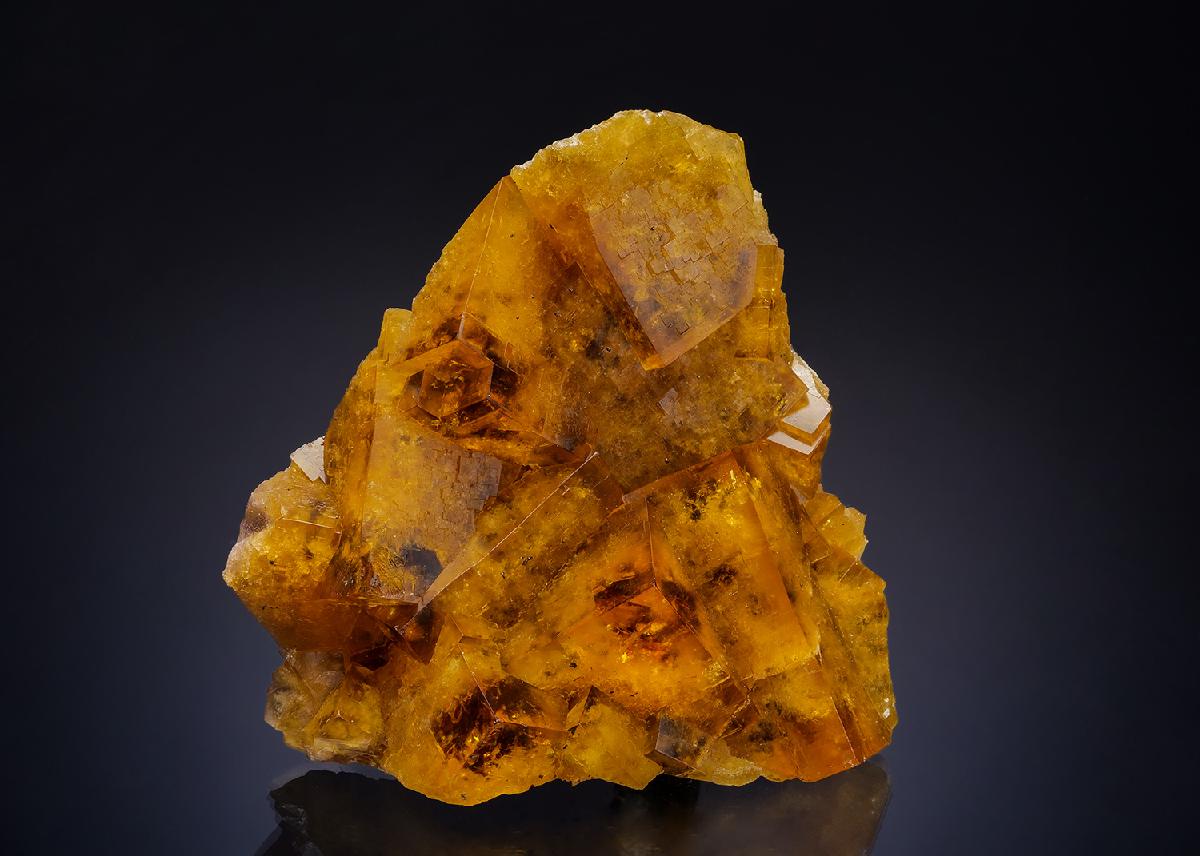 CC54264 specimen image