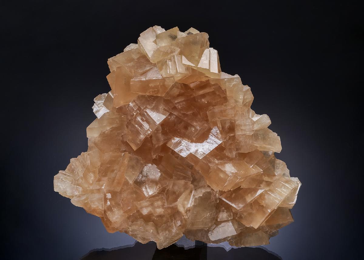 CC54274 specimen image