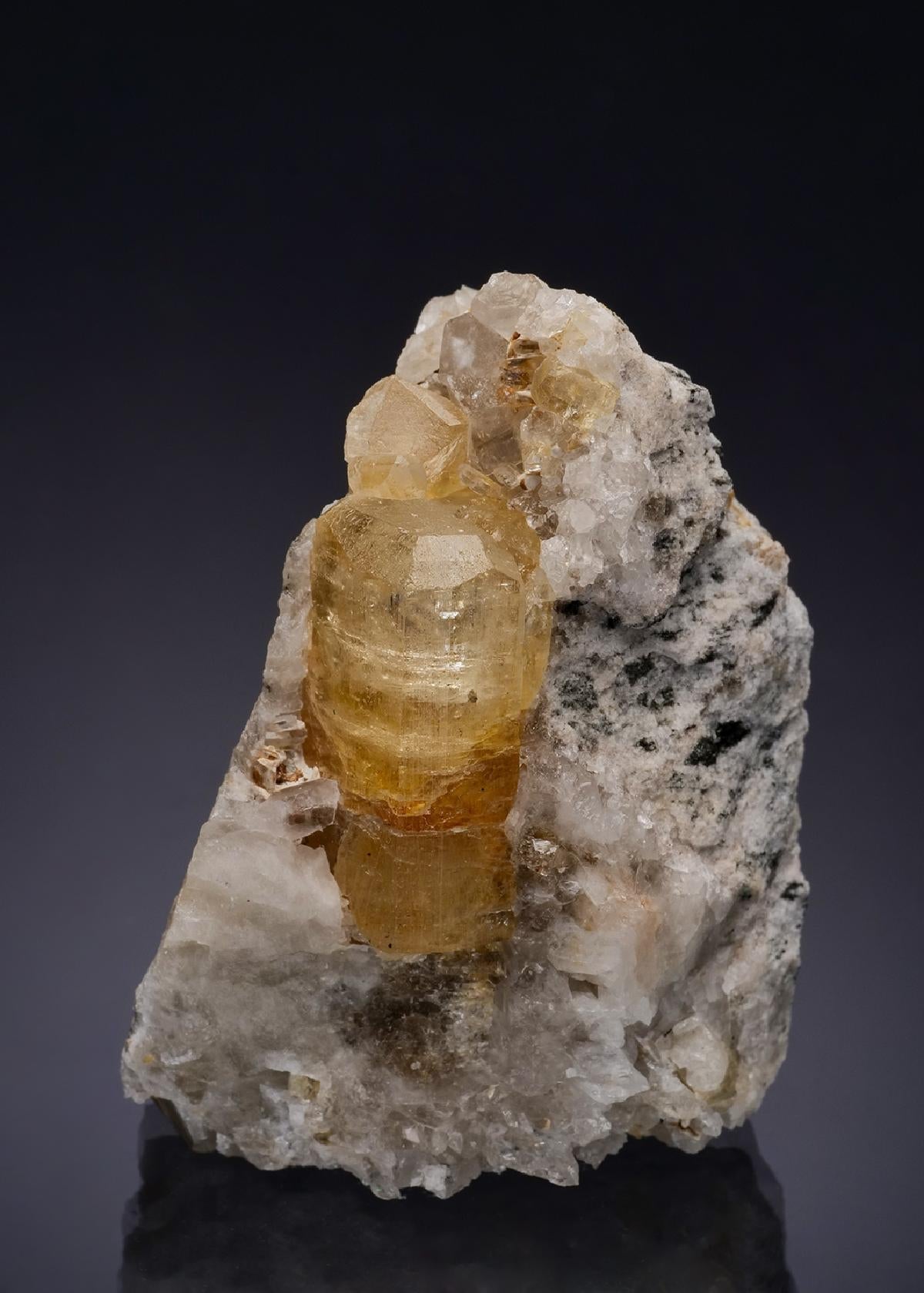 CC54322 specimen image
