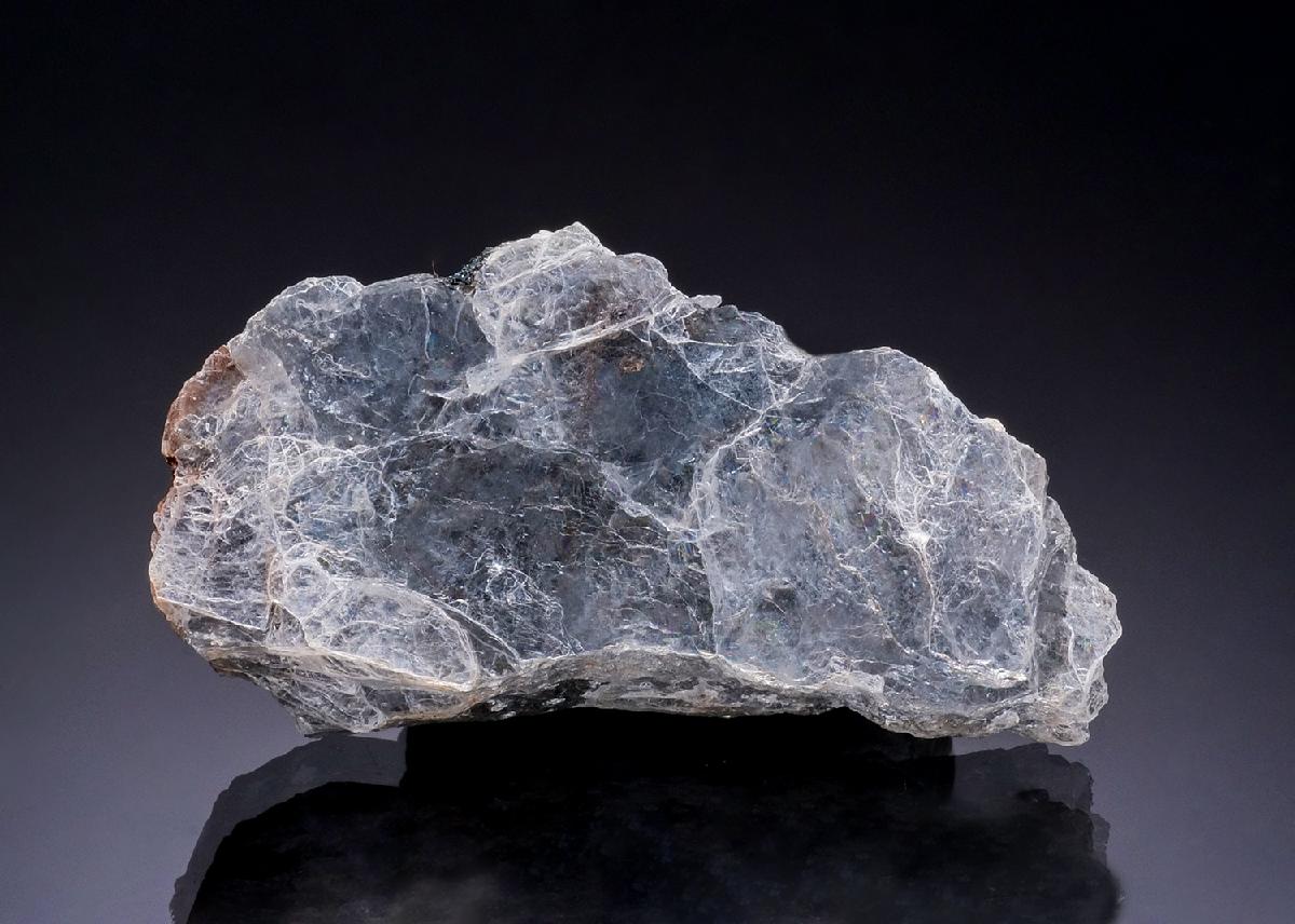 CC54378 specimen image