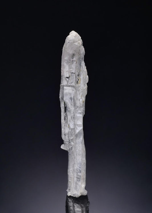 CC54386 specimen image