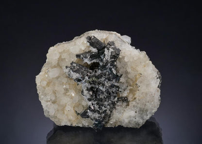 CC54390 specimen image