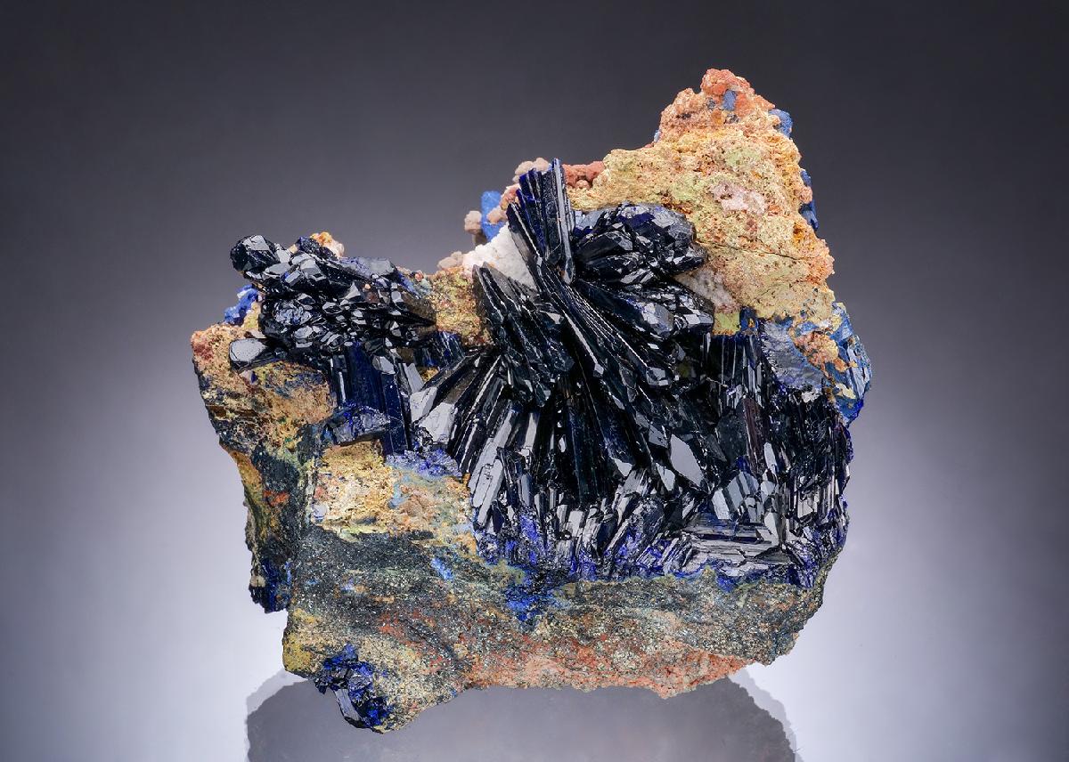 CC54394 specimen image