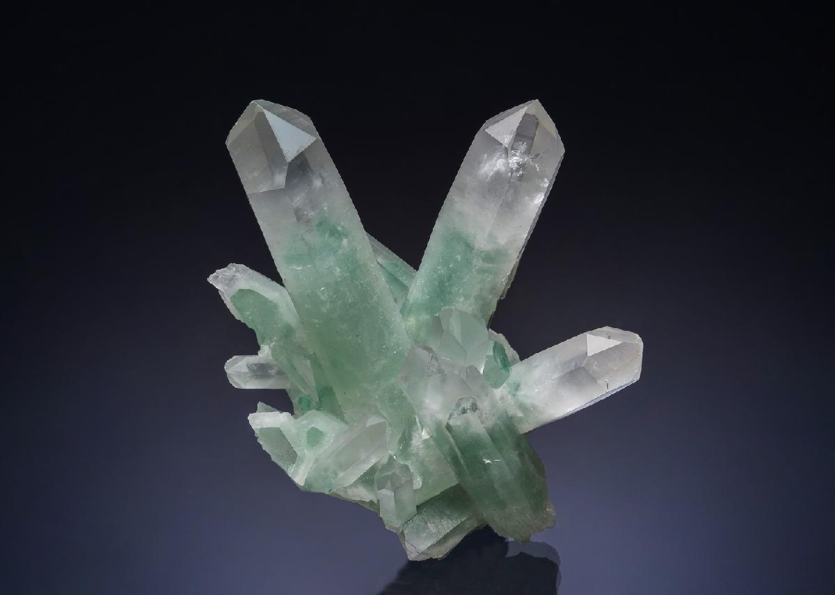 CC54424 specimen image