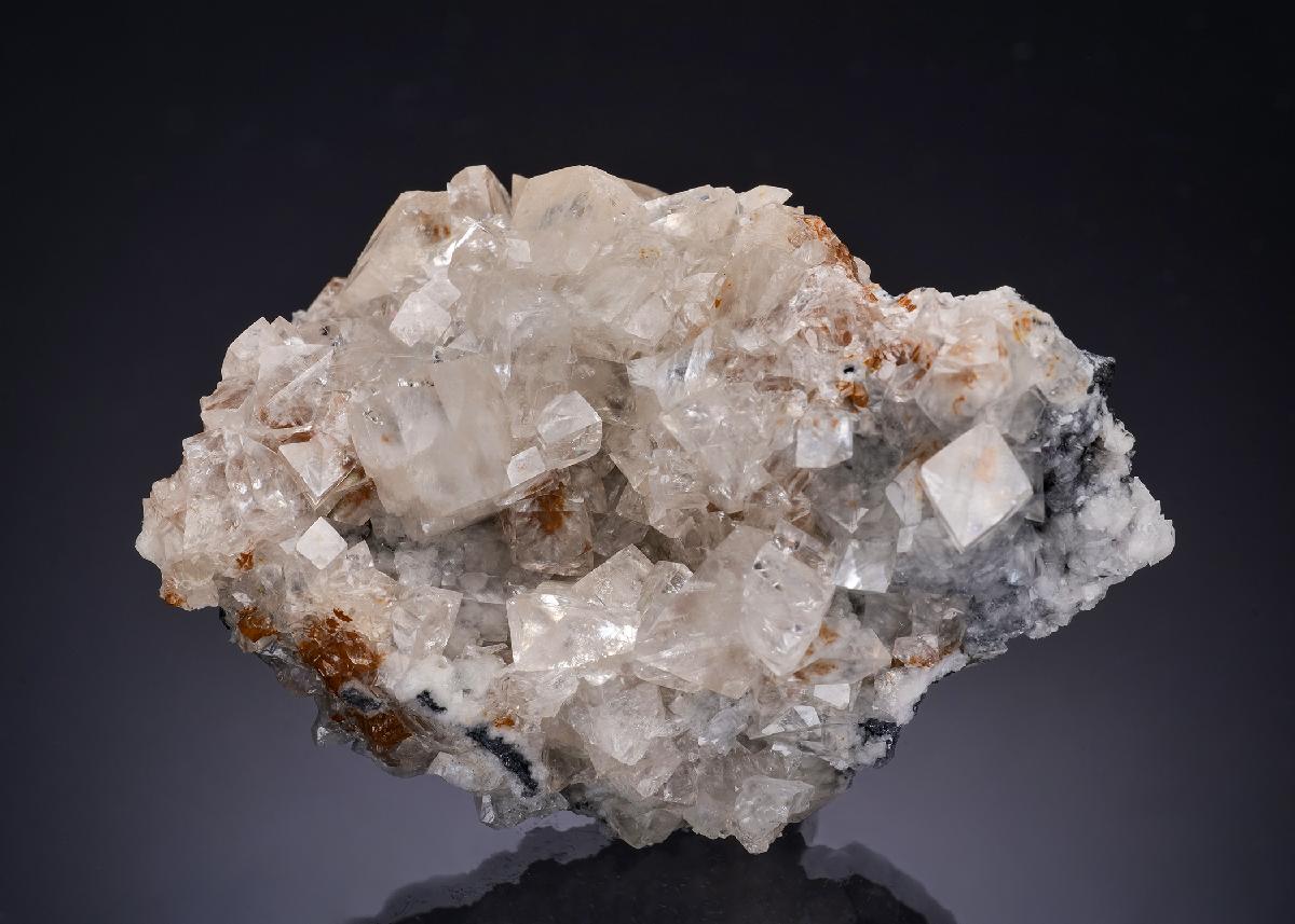 CC54434 specimen image