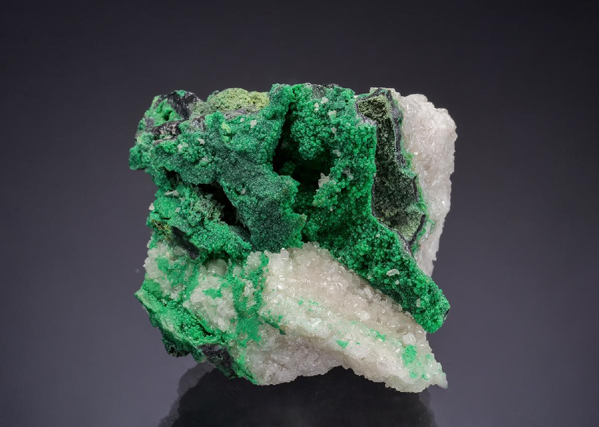 CC54442 specimen image