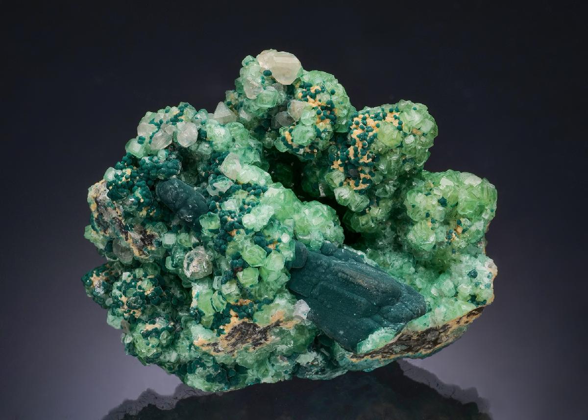CC54610 specimen image