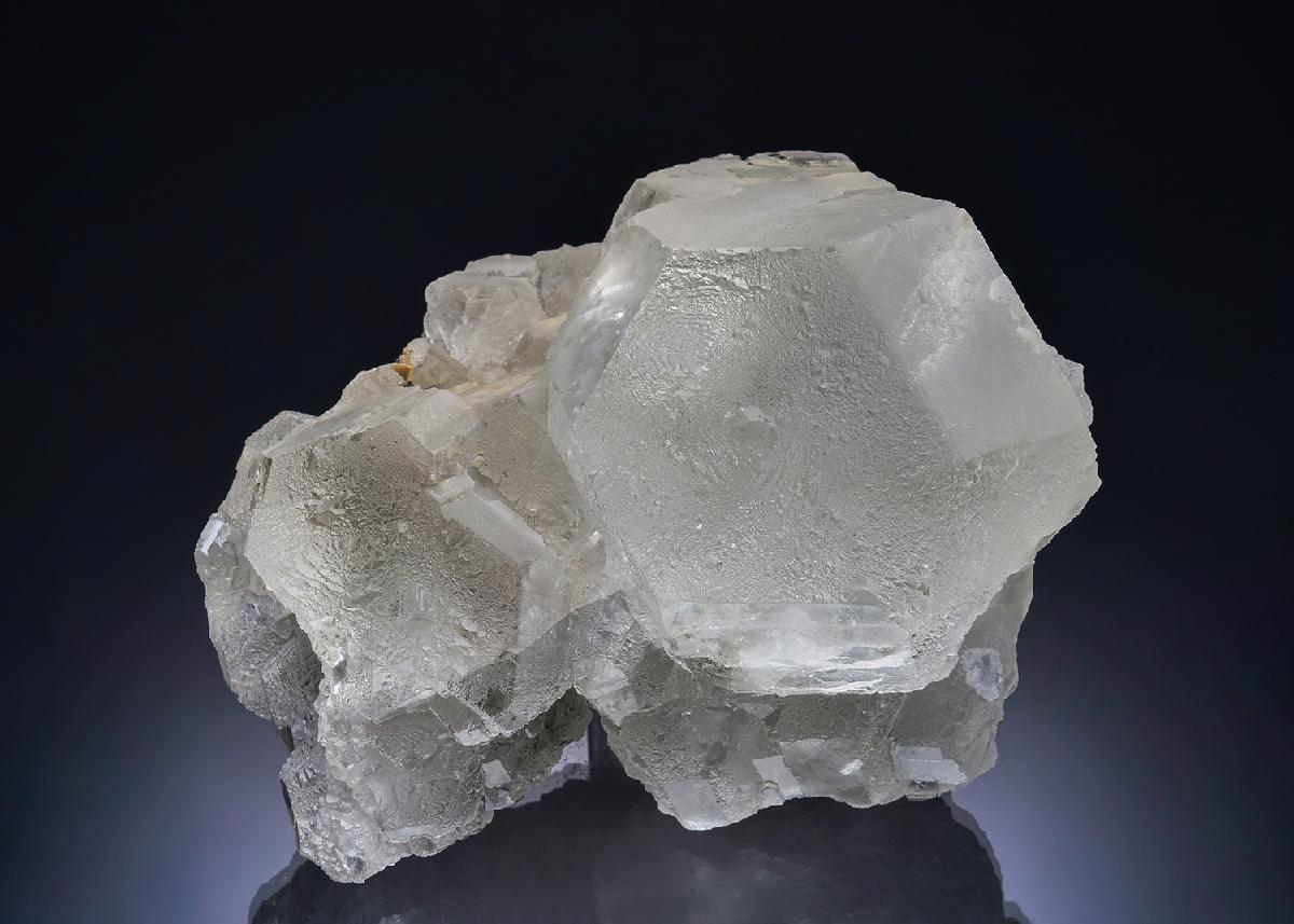 CC54634 specimen image